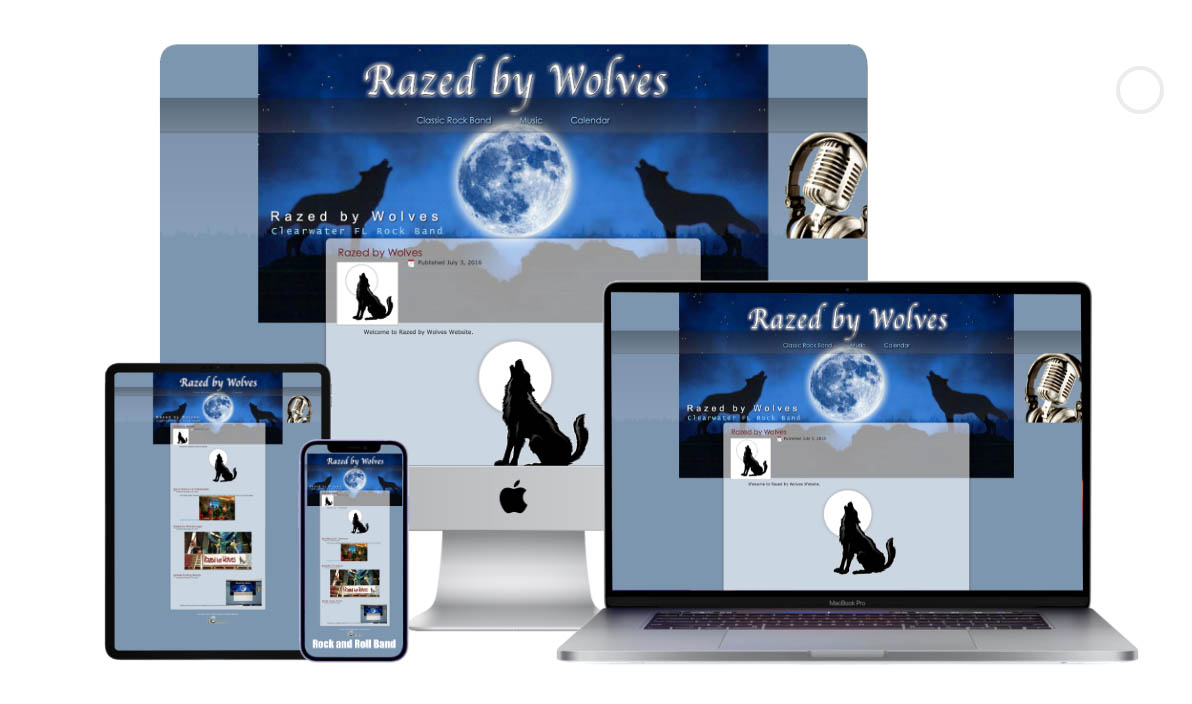 Our Website Strategy